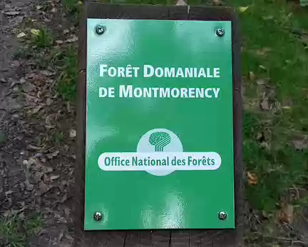 035 La forêt de Montmorency est gérée par l’ONF